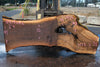 Oregon Black Walnut Slab 091924-6