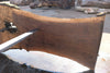 Oregon Black Walnut Slab 091924-7
