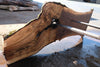 Oregon Black Walnut Slab 091924-7