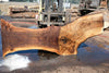 Oregon Black Walnut Slab 091924-8