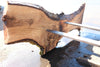 Oregon Black Walnut Slab 091924-8