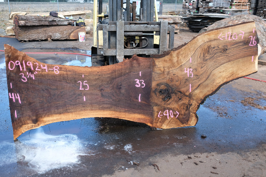 Oregon Black Walnut Slab 091924-8