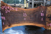 Oregon Black Walnut Slab 091924-8