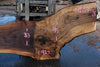 Oregon Black Walnut Slab 091924-8