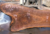 Oregon Black Walnut Slab 092024-1