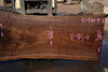 Oregon Black Walnut Slab 092024-1