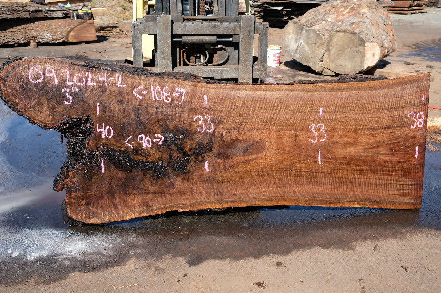 Oregon Black Walnut Slab 092024-2