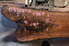 Oregon Black Walnut Slab 092024-2
