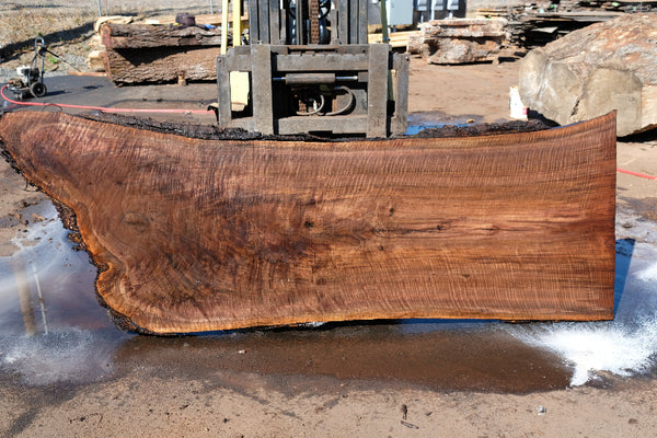 Oregon Black Walnut Slab 092024-3 – Goby Walnut Products, Inc