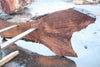 Oregon Black Walnut Slab 092024-5