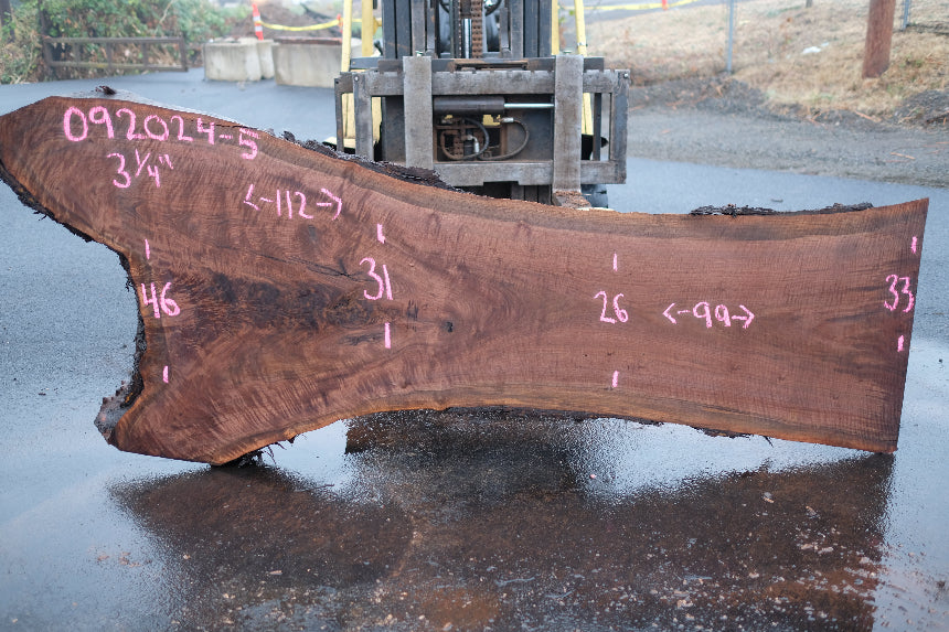 Oregon Black Walnut Slab 092024-5