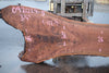 Oregon Black Walnut Slab 092024-5
