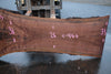 Oregon Black Walnut Slab 092024-5