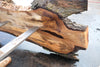 Oregon Black Walnut Slab 092024-6