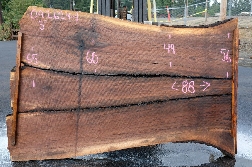 Oregon Black Walnut Slab 092624-1
