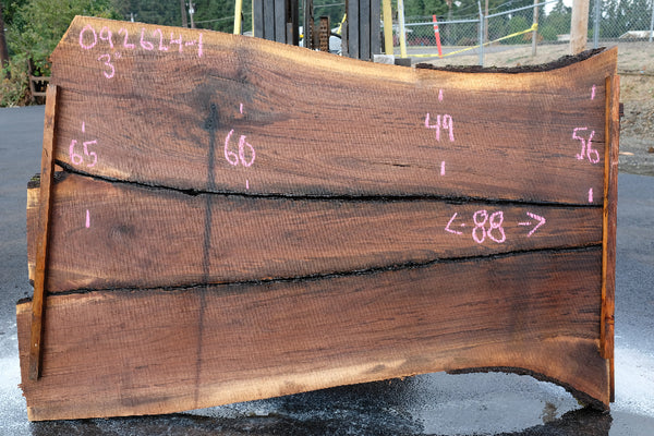 Oregon Black Walnut Slab 092624-1