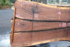 Oregon Black Walnut Slab 092624-1