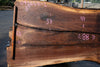 Oregon Black Walnut Slab 092624-2