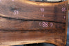 Oregon Black Walnut Slab 092624-2