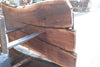 Oregon Black Walnut Slab 092624-3