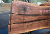 Oregon Black Walnut Slab 092624-3