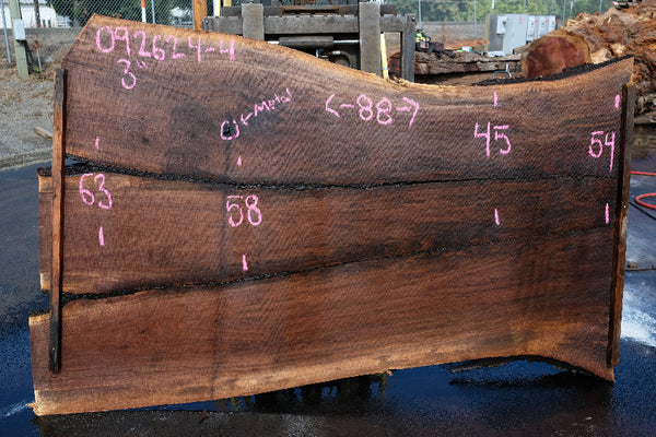Oregon Black Walnut Slab 092624-4