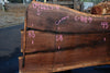Oregon Black Walnut Slab 092624-4