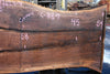 Oregon Black Walnut Slab 092624-4