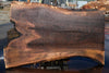 Oregon Black Walnut Slab 092624-5