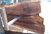 Oregon Black Walnut Slab 092624-5