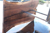 Oregon Black Walnut Slab 092624-5