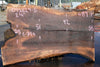 Oregon Black Walnut Slab 092624-5