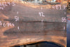 Oregon Black Walnut Slab 092624-5