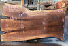 Oregon Black Walnut Slab 092624-6