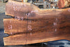 Oregon Black Walnut Slab 092624-6