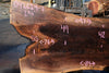 Oregon Black Walnut Slab 092624-7