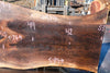 Oregon Black Walnut Slab 092624-7
