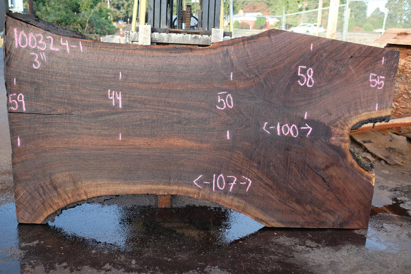 Oregon Black Walnut Slab 100324-1