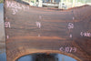 Oregon Black Walnut Slab 100324-1