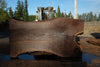 Oregon Black Walnut Slab 100324-2