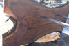 Oregon Black Walnut Slab 100324-3