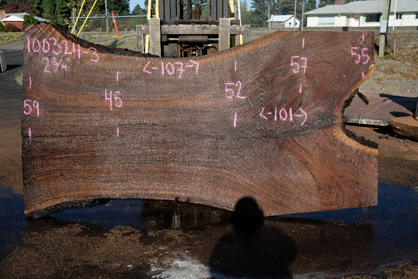 Oregon Black Walnut Slab 100324-3