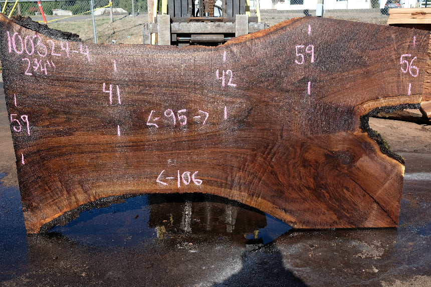 Oregon Black Walnut Slab 100324-4