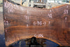 Oregon Black Walnut Slab 100324-4
