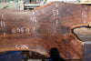 Oregon Black Walnut Slab 100324-4