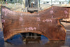 Oregon Black Walnut Slab 100324-5