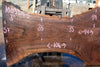Oregon Black Walnut Slab 100324-5