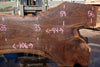 Oregon Black Walnut Slab 100324-5