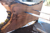 Oregon Black Walnut Slab 100324-6
