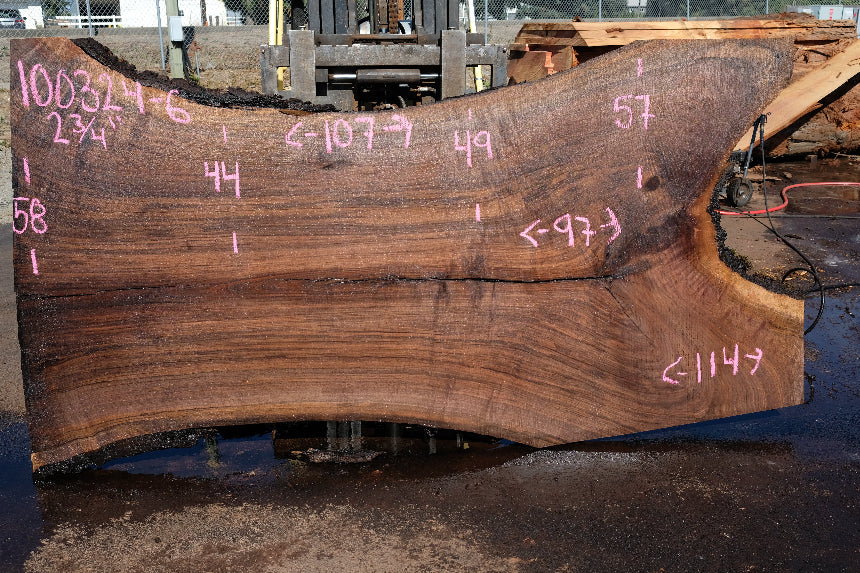 Oregon Black Walnut Slab 100324-6
